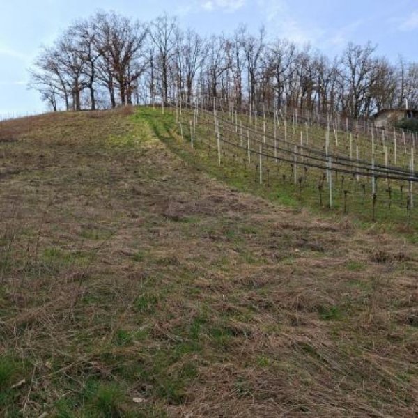 Waigolshausen Ein Freizeitgrundstück mit der Möglichkeit, ein Wochenendhaus zu erstellen Grundstück kaufen