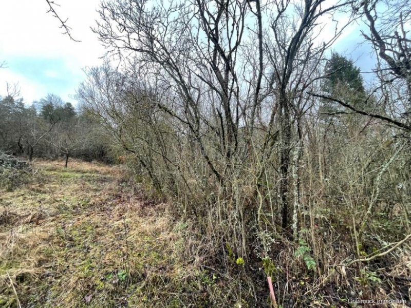 Ostheim vor der Rhön Verwildertes Freizeitgrundstück mit Bebauungsmöglichkeit - Teilweise erschlossen Grundstück kaufen