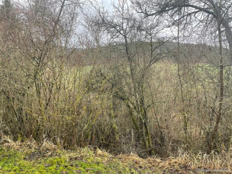 Ostheim vor der Rhön Verwildertes Freizeitgrundstück mit Bebauungsmöglichkeit - Teilweise erschlossen Grundstück kaufen