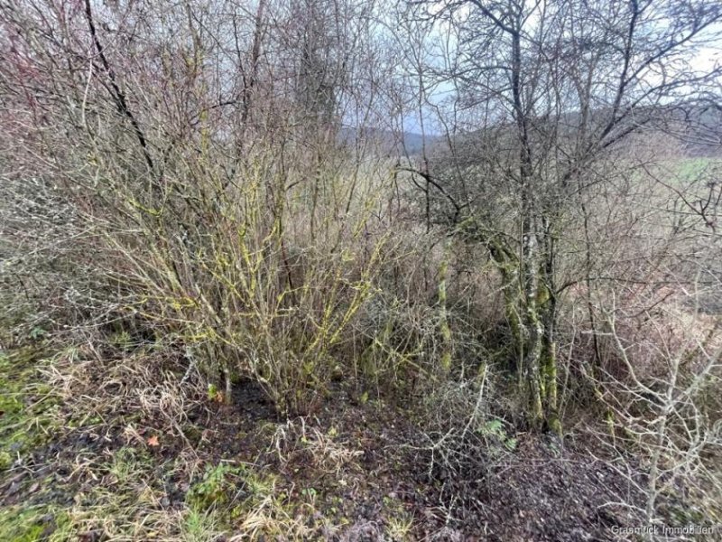 Ostheim vor der Rhön Verwildertes Freizeitgrundstück mit Bebauungsmöglichkeit - Teilweise erschlossen Grundstück kaufen