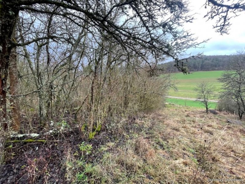 Ostheim vor der Rhön Verwildertes Freizeitgrundstück mit Bebauungsmöglichkeit - Teilweise erschlossen Grundstück kaufen