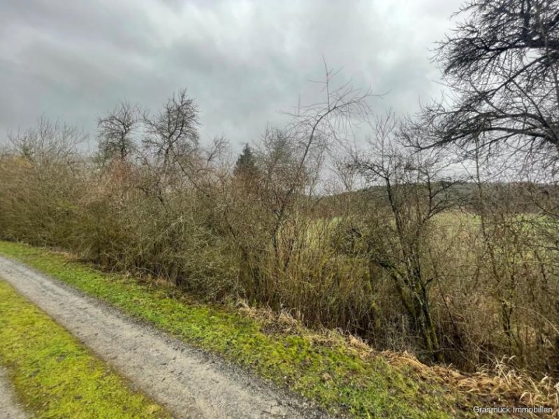 Ostheim vor der Rhön Verwildertes Freizeitgrundstück mit Bebauungsmöglichkeit - Teilweise erschlossen Grundstück kaufen