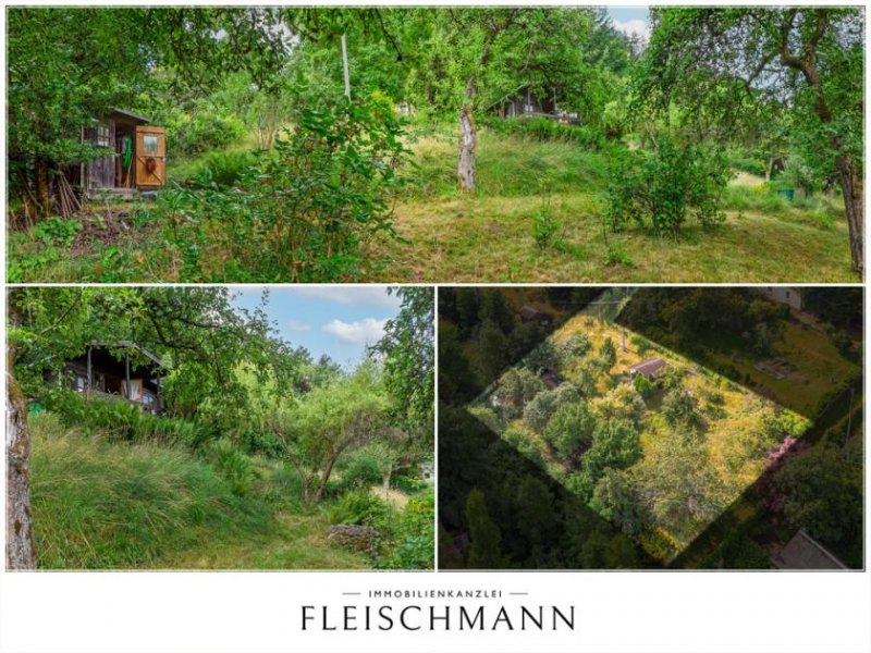 Suhl Ihr eigenes Bio-Paradies in Suhl: Pestizidfreier Naturgarten mit Holzhaus, Strom & Ganzjahreswasser! Grundstück kaufen