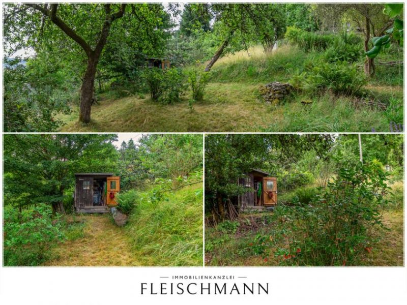 Suhl Ruhige Naturoase in Suhl - Erholung pur auf idyllischem Freizeitgrundstück Grundstück kaufen