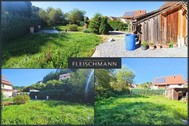 Schmeheim Charmantes Fachwerkhaus mit saniertem Wohnbereich, Terrasse und vielfältigem Gestaltungspotenzial Haus kaufen