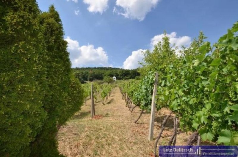 Vinica Anwesen mit Weinberg und Wohnhaus in Vinica Gewerbe kaufen