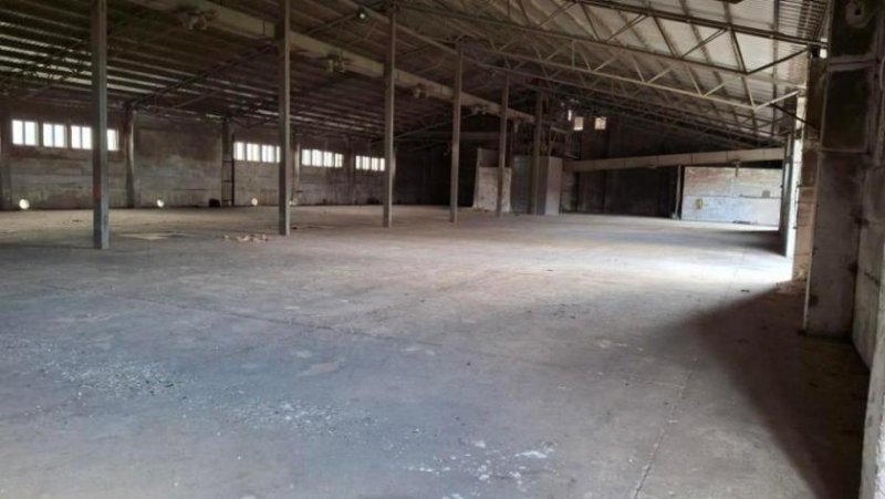 Kölleda Gewerbegrundstück mit über 6.000 qm Hallenfläche zu verkaufen Grundstück kaufen
