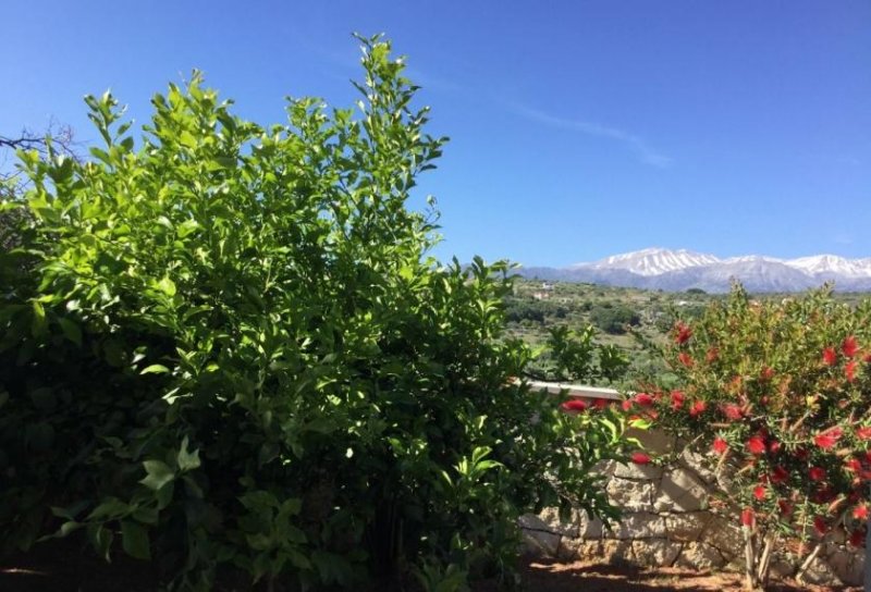 Douliana Apokoronas Kreta, Doulina, freistehender Bungalow mit Einliegerwohnung, privater Pool 3 SZ 3 BZ Haus kaufen