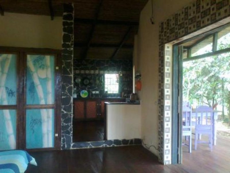 La Virgen Vanilleplantage - Wo das Grundstück endet, fängt der Dschungel an Gewerbe kaufen