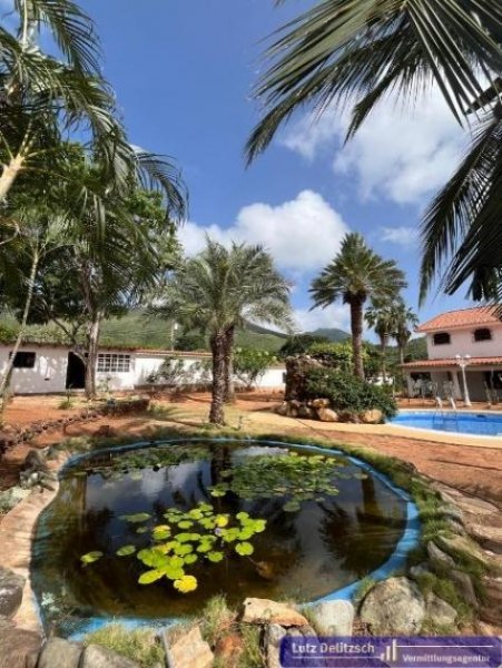 Apecurero Haus mit Pool, auch als Posada nutzbar, auf der Insel Margarita Haus kaufen
