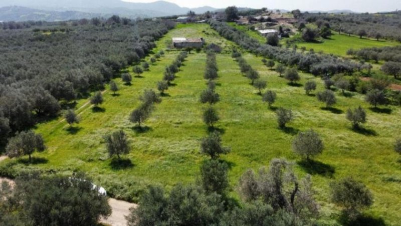 Bad Krozingen Kreta, Sivas Landwirtschaftliche Fläche 10.808m² mit Lagerhaus Grundstück kaufen