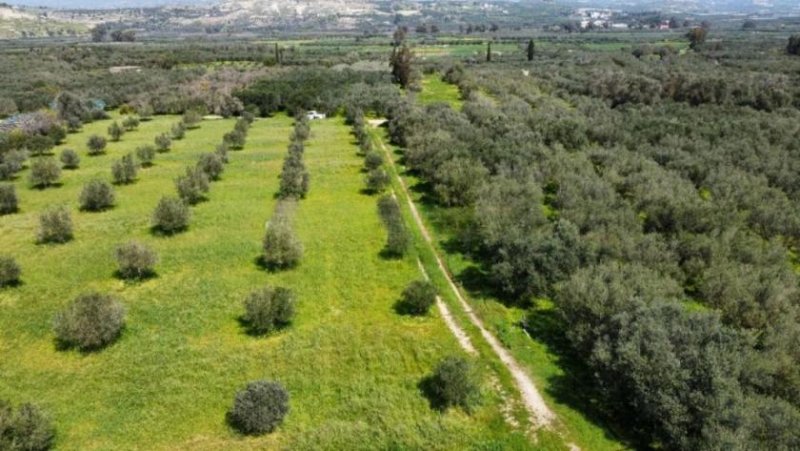 Bad Krozingen Kreta, Sivas Landwirtschaftliche Fläche 10.808m² mit Lagerhaus Grundstück kaufen