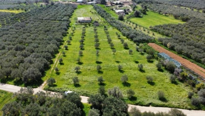 Bad Krozingen Kreta, Sivas Landwirtschaftliche Fläche 10.808m² mit Lagerhaus Grundstück kaufen