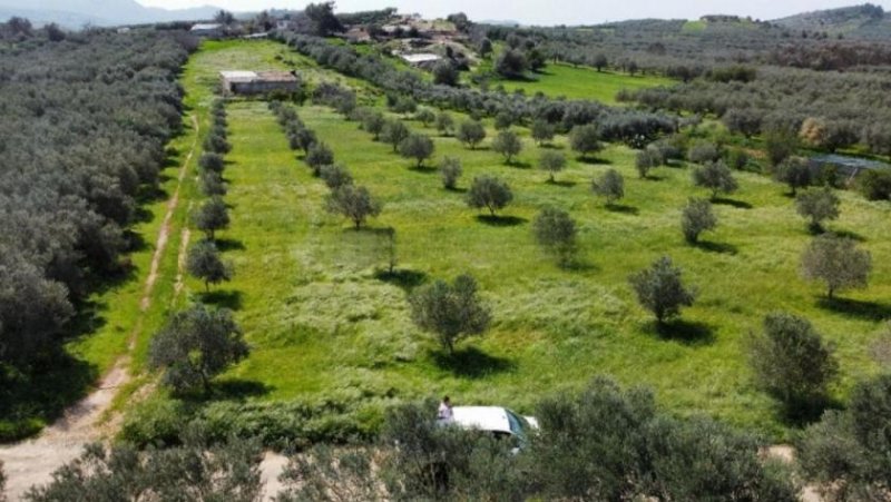 Bad Krozingen Kreta, Sivas Landwirtschaftliche Fläche 10.808m² mit Lagerhaus Grundstück kaufen