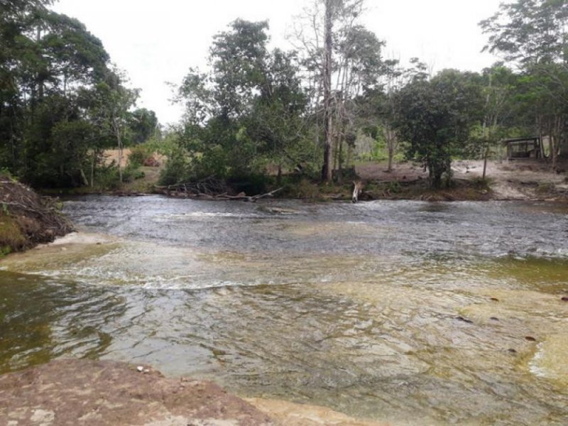 Brasilien 100 Ha Bauernhaus für Fischzucht und Plantagen mit Privatsee bei Presidente Figueiredo AM Grundstück kaufen