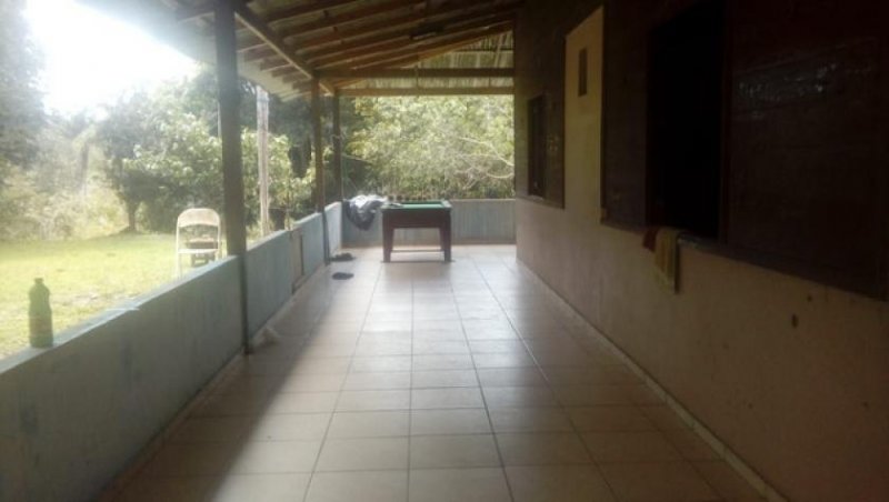 Brasilien 100 Ha Bauernhaus für Fischzucht und Plantagen mit Privatsee bei Presidente Figueiredo AM Grundstück kaufen