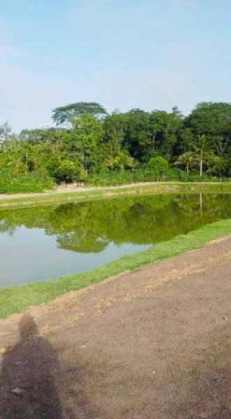  Brasilien 100 Ha Bauernhaus für Fischzucht und Plantagen mit Privatsee bei Presidente Figueiredo AM Grundstück kaufen