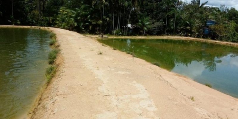 Brasilien 100 Ha Bauernhaus - Plantagen und Eierproduktion bei Presidente Figueiredo AM Grundstück kaufen