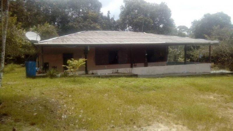 Brasilien 100 Ha Bauernhaus - Plantagen und Eierproduktion bei Presidente Figueiredo AM Grundstück kaufen