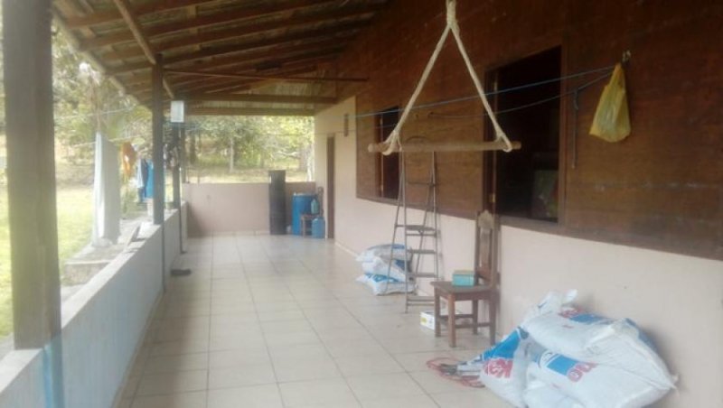 Brasilien 100 Ha Bauernhaus für Fischzucht und Plantagen mit Privatsee bei Presidente Figueiredo AM Grundstück kaufen