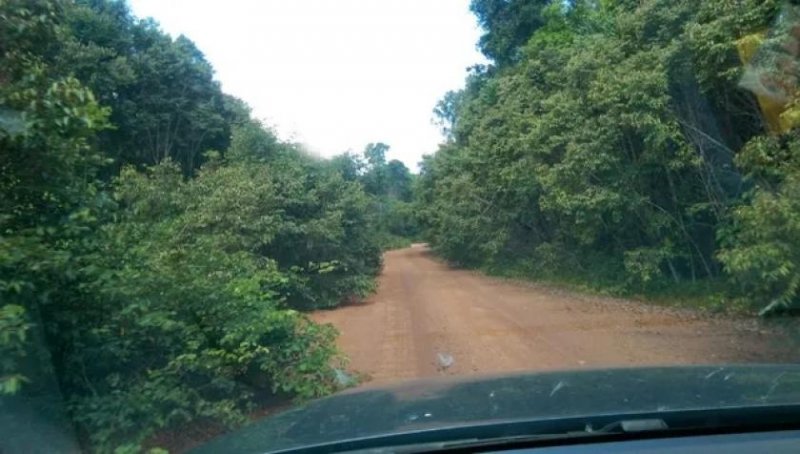 Brasilien 100 Ha Grundstück in der Nähe von Novo Airo AM Grundstück kaufen