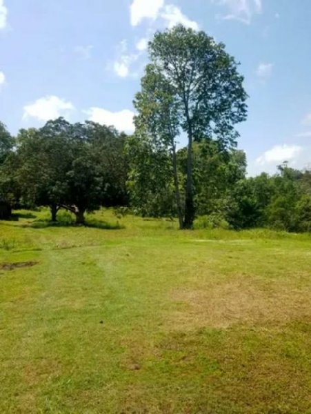 Brasilien 100 Ha Grundstück in der Nähe von Novo Airo AM Grundstück kaufen