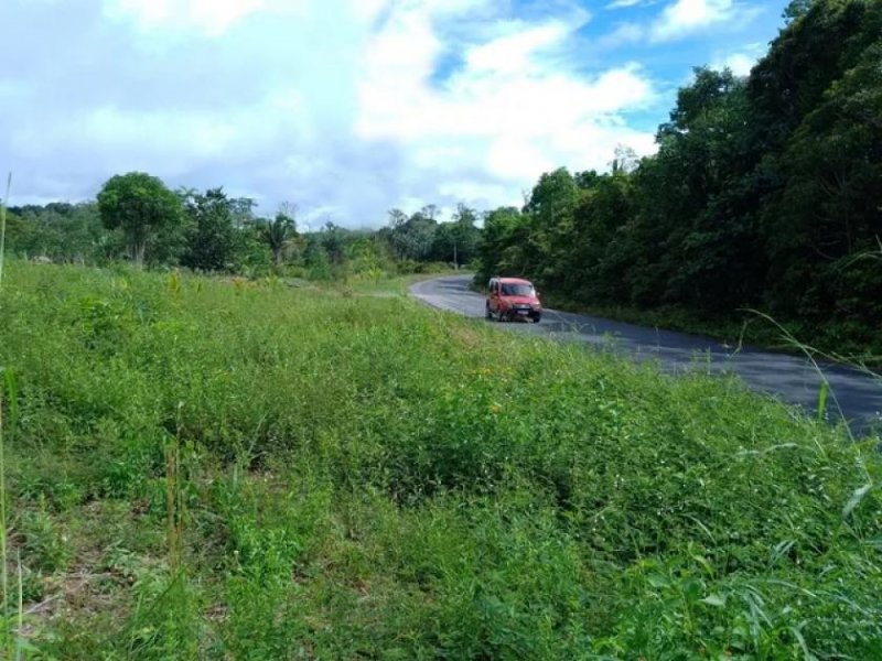 Brasilien 100 Ha Grundstück in der Nähe von Novo Airo AM Grundstück kaufen