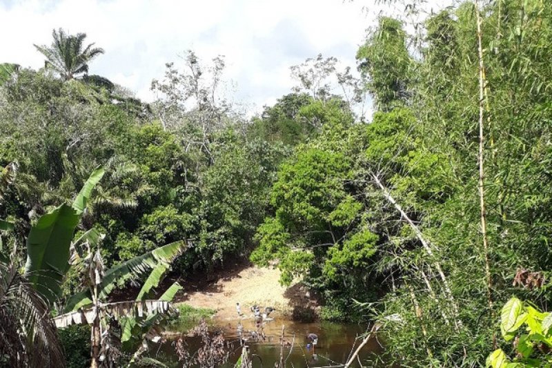  Brasilien 1'000 Ha Tiefpreis - Grundstück mit Rohstoffen in der Nähe der Erdoel - Erdgas - Gold - Stadt Silves Grundstück