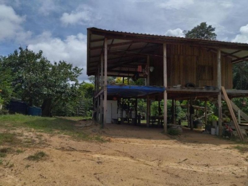 Brasilien 1'000 Ha Tiefpreis - Grundstück mit Rohstoffen Gewerbe kaufen