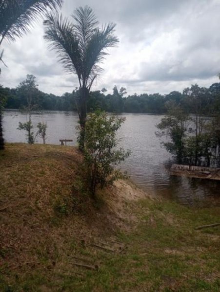 Brasilien 140 Ha grosses Grundstück am See bei Presidente Figueiredo AM Grundstück kaufen