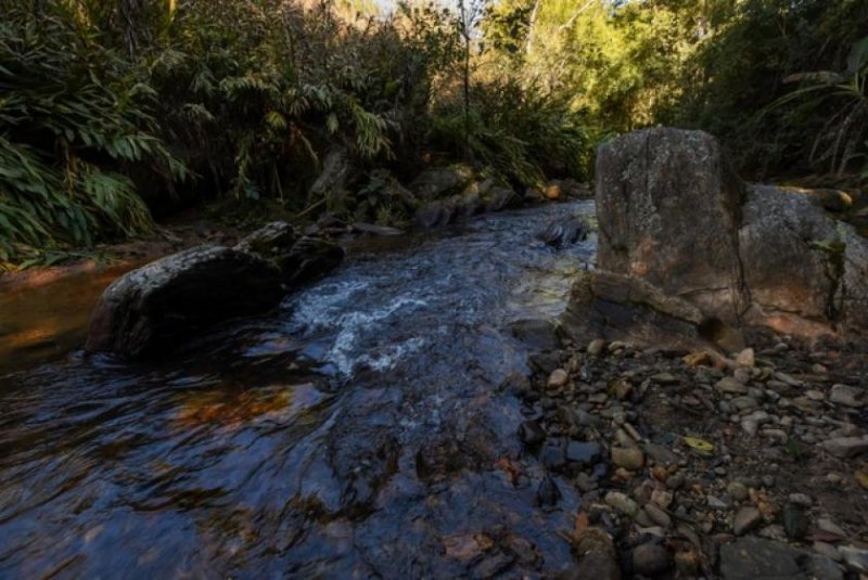 Brasilien 145'198 Ha grosses Grundstück mit Privatsee Grundstück kaufen