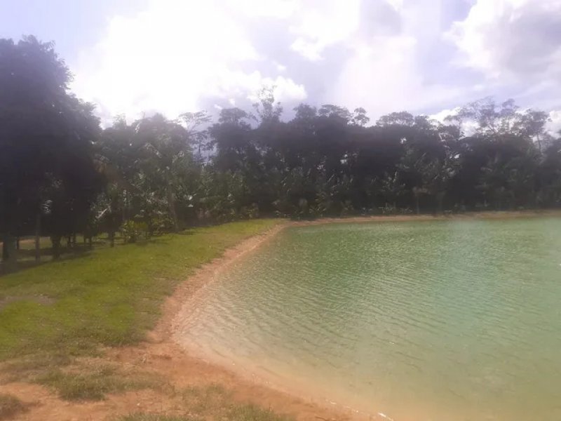 Brasilien 20 Ha Bauernhaus - Fischzucht und Plantagen Grundstück kaufen