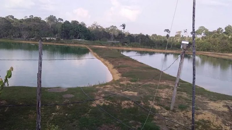 Brasilien 20 Ha Bauernhaus - Fischzucht und Plantagen Grundstück kaufen