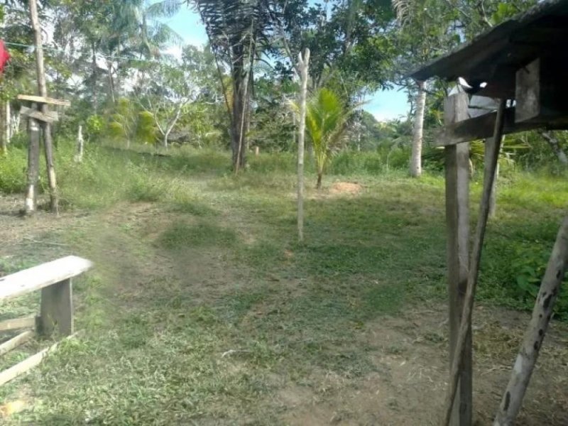 Brasilien 25 Ha Grundstück bei Rio Preto da Eva AM Grundstück kaufen