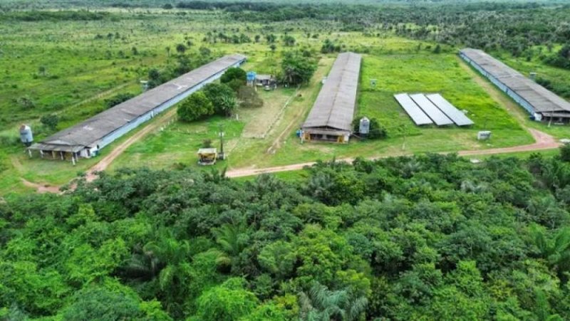 Brasilien – 250 Hektar grosse Chicken Fabrik Grundstück kaufen