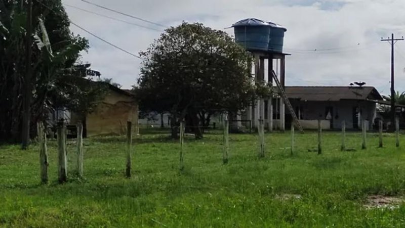 Brasilien – 250 Hektar grosse Chicken Fabrik Grundstück kaufen