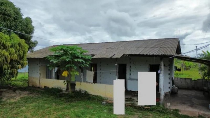 Brasilien – 250 Hektar grosse Chicken Fabrik Grundstück kaufen