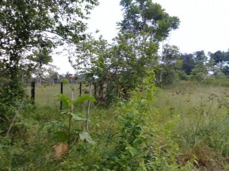 Brasilien 40 Ha Fischzucht in der Region Manaus AM Grundstück kaufen