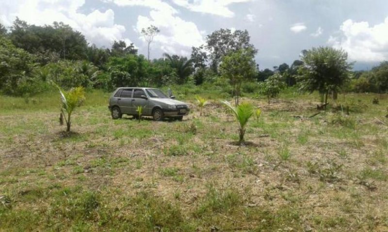 Brasilien 40 Ha Fischzucht in der Region Manaus AM Grundstück kaufen