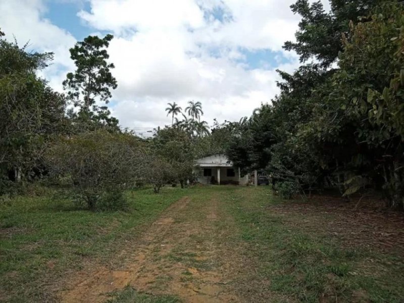 Brasilien 40 Ha Fischzucht in der Region Manaus AM Grundstück kaufen