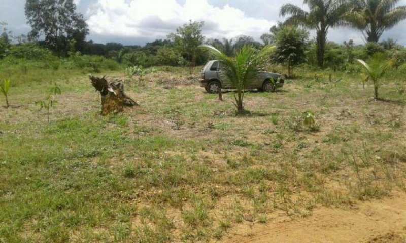 Brasilien 40 Ha Fischzucht in der Region Manaus AM Grundstück kaufen