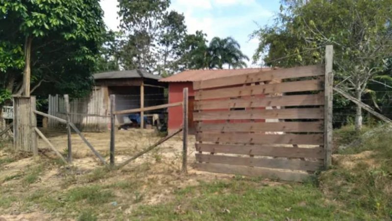 Brasilien 40 Ha Tiefpreis-Farm in der Nähe von Autazes AM Grundstück kaufen