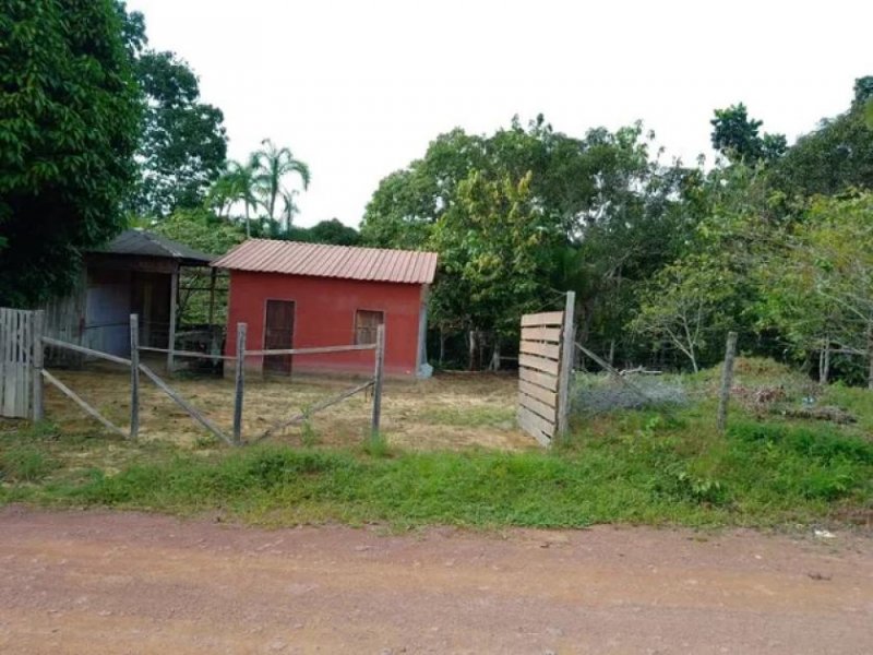 Brasilien 40 Ha Tiefpreis-Farm in der Nähe von Autazes AM Grundstück kaufen