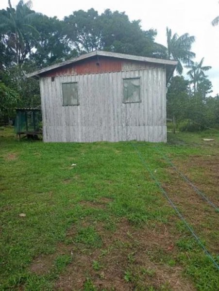 Brasilien 40 HA Tiefpreis - Grundstück mit Fischzucht - Region Manaus AM Grundstück kaufen