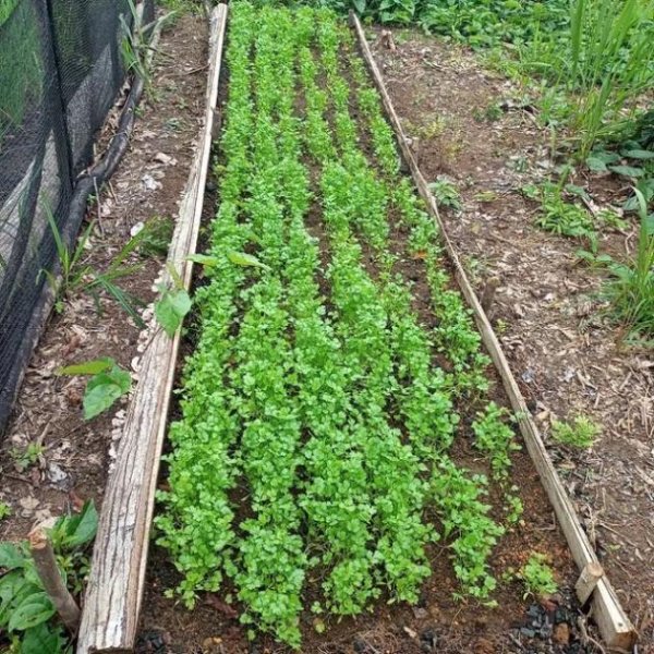 Brasilien 40 HA Tiefpreis - Grundstück mit Fischzucht - Region Manaus AM Grundstück kaufen