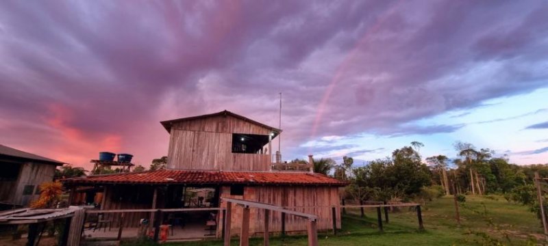 Brasilien 479 Ha grosse Früchtefarm Grundstück kaufen