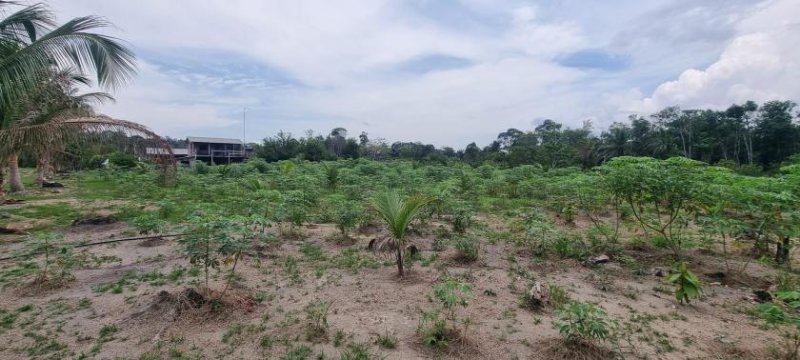 Brasilien 479 Ha grosse Früchtefarm Grundstück kaufen