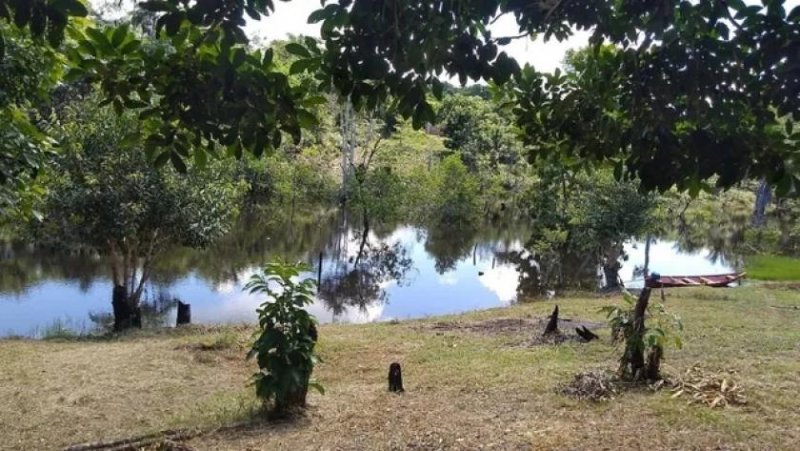 Brasilien 50 Ha Früchtefarm am Flüsschen nördlich von Manaus AM Grundstück kaufen