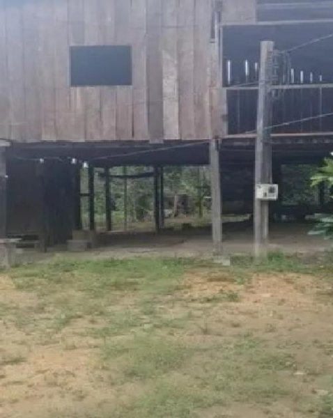 Brasilien 50 Ha Früchtefarm am Flüsschen nördlich von Manaus AM Grundstück kaufen