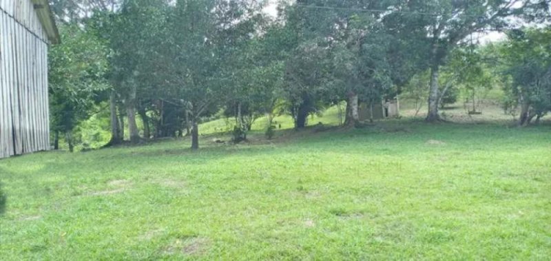 Brasilien 50 Ha grosses Tiefpreis-Grundstück bei Careiro Castanho AM Grundstück kaufen